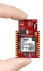 WM2000 Programlanabilir Wireless IoT Modülü